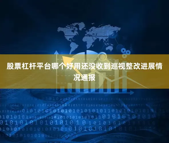 股票杠杆平台哪个好用还没收到巡视整改进展情况通报