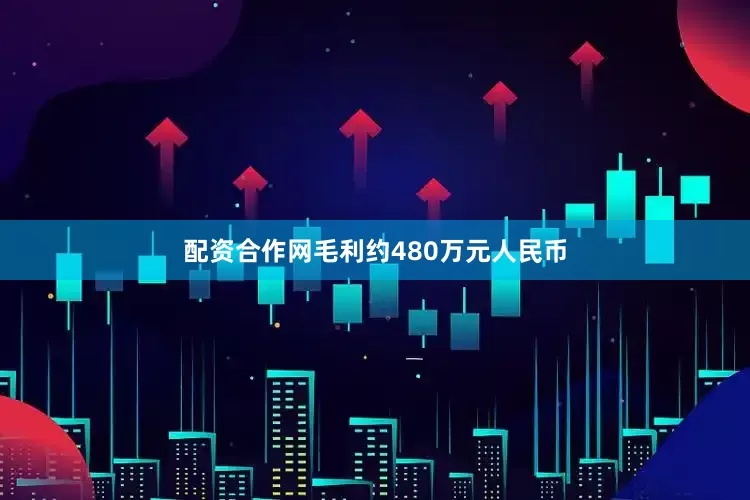 配资合作网毛利约480万元人民币